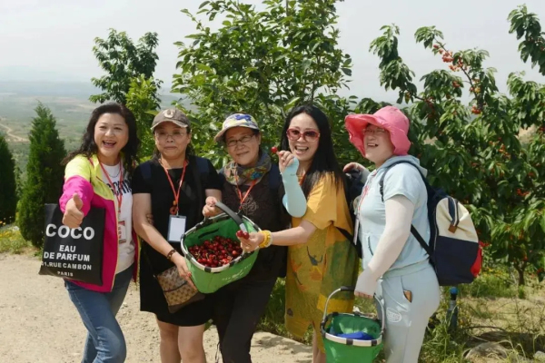 Places to pick cherries in Yantai