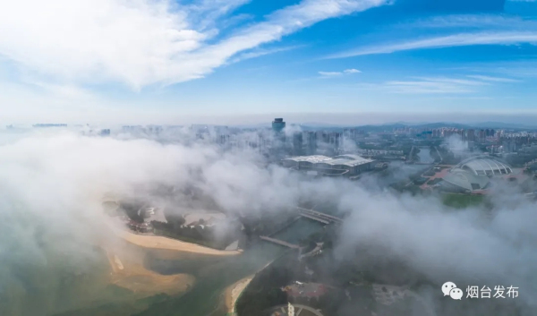 Advection fog creates spectacular views in Yantai