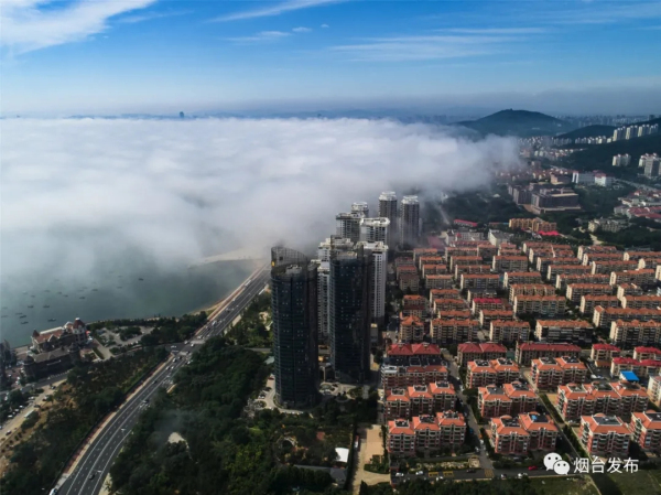 Advection fog creates spectacular views in Yantai