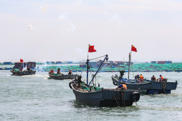 Yantai seafood market back to life after fish ban