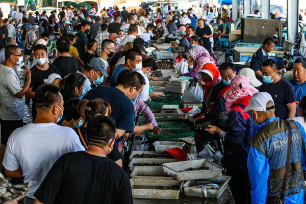 Yantai seafood market back to life after fish ban