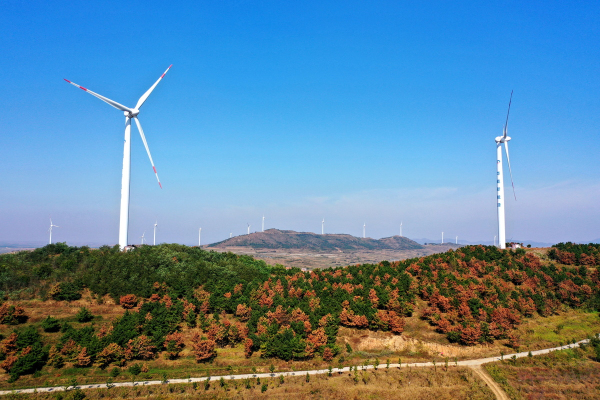 1st Shandong Peninsula South 4 offshore wind power units start up