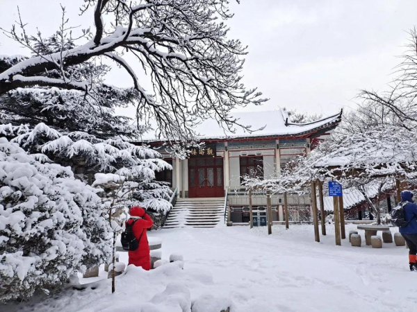 Heavy snow hits Yantai
