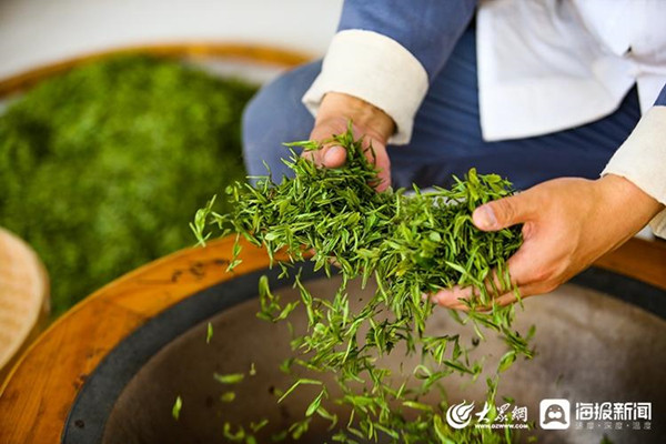 Yantai's tea industry brings prosperity to local farmers