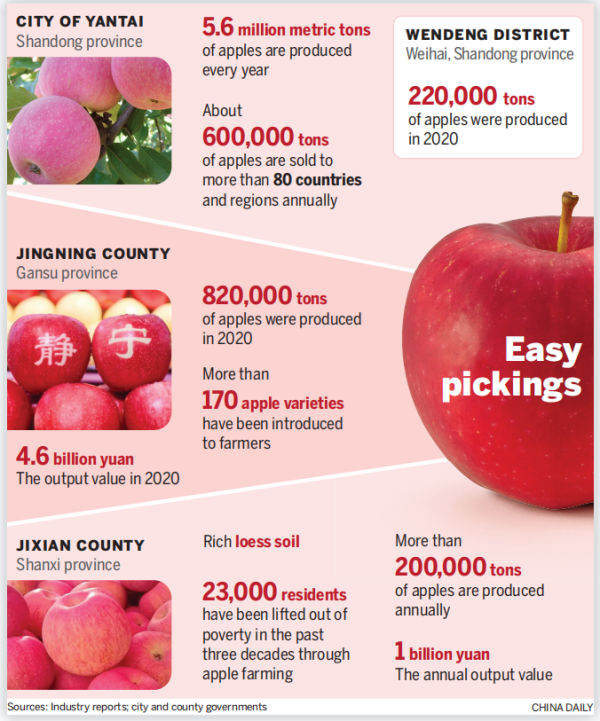 Tech, best practices give Chinese apples big edge
