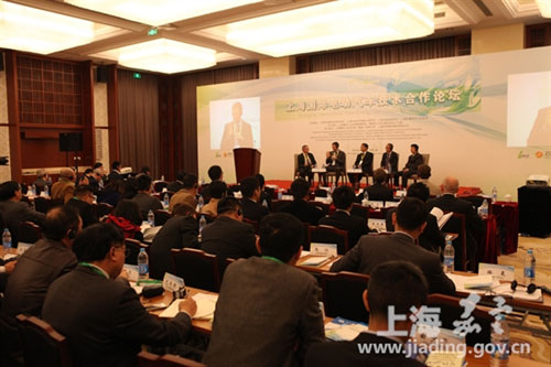 Jiading hosts international e-car cooperation forum