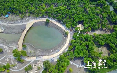 Jiading country park set for trial operation