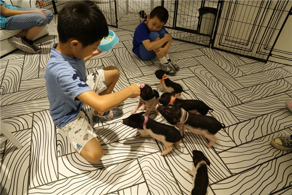 Mini petting zoo opens in Shanghai mall