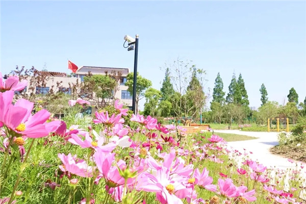 Jiading industrial zone boosts rural revitalization efforts