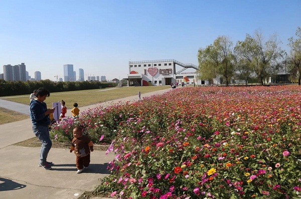 Jiading bolsters rural revitalization