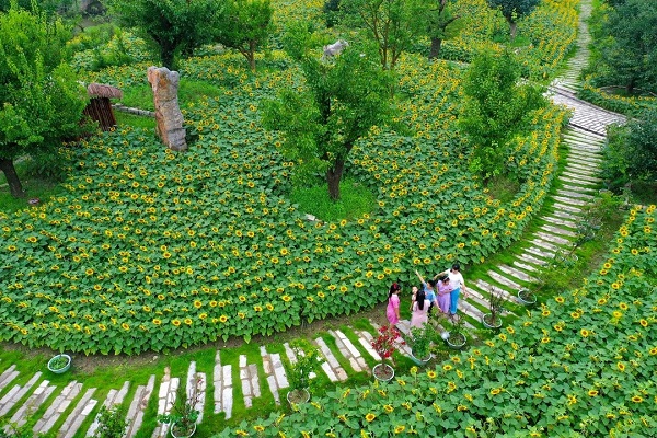 Jiading bolsters rural revitalization