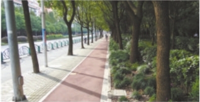 Popular exercise path in Pudong set for makeover