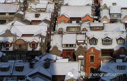 Unique ways to experience winter in Shanghai