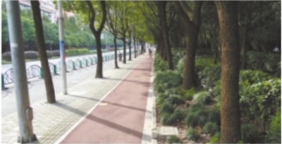 Century Park jogging path to be upgraded