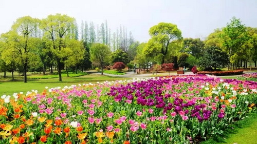 Abloom April paints a polychrome garden
