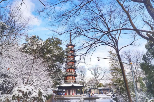 Savor snowy fairyland in Sheshan