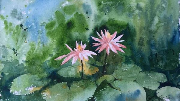 Sheshan to host water lily painting contest