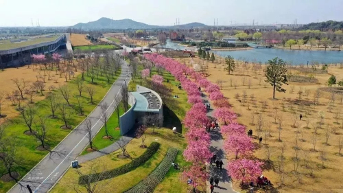 Chenshan Botanical Garden receives 22,000 tourists at weekend