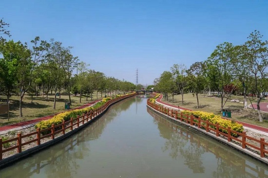 Eight greenways in Songjiang district perfect for daily fitness