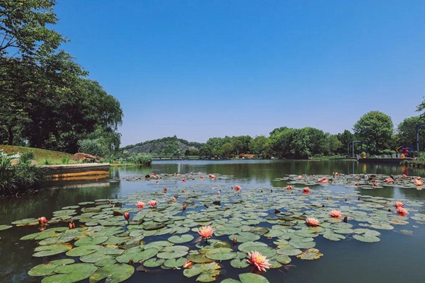 Best places to visit at Sheshan resort in summer