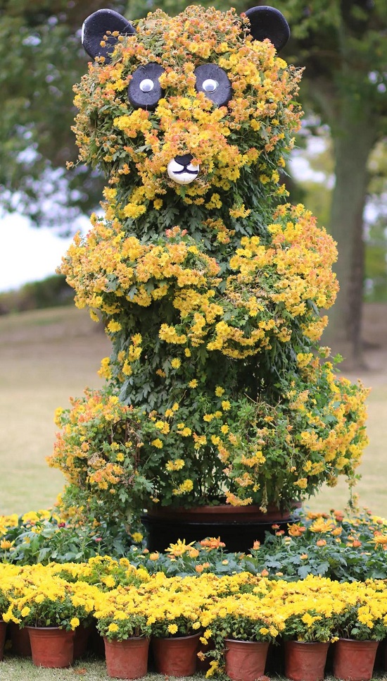 Enjoy colorful chrysanthemums at Shanghai Yuehu Sculpture Park