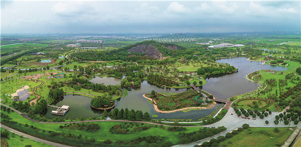 Shanghai Chenshan Botanical Garden