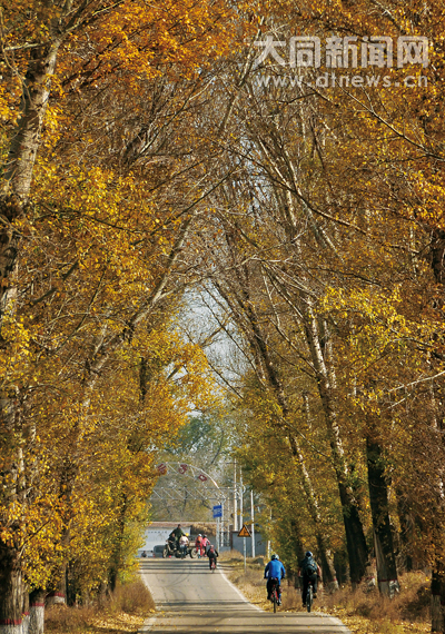 Bicyclists ride along Datong country road