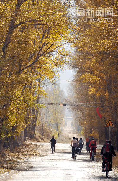 Bicyclists ride along Datong country road