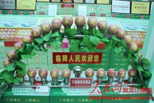 Linyi county's 2nd Apple Festival is a success in Heihe