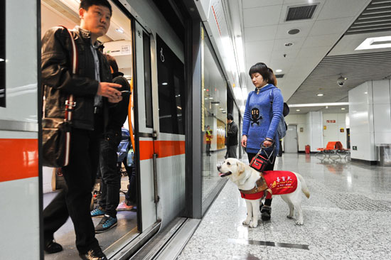 A glimpse into guide dogs in Shanxi