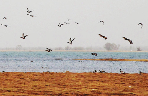 Colorful Guangling county