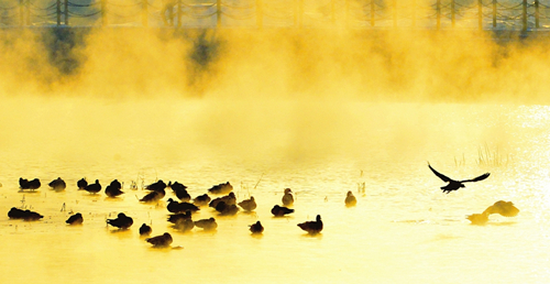 Douqi River glimpsed through morning mist