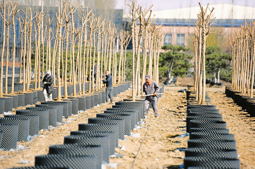Workers plant saplings in Taiyuan