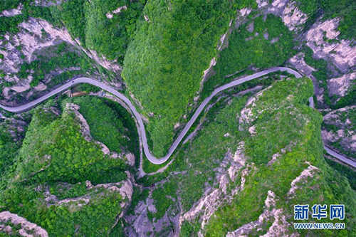 Huguan county turns barren land into green miracle