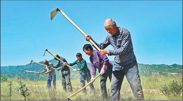 Villagers branching out to beat poverty