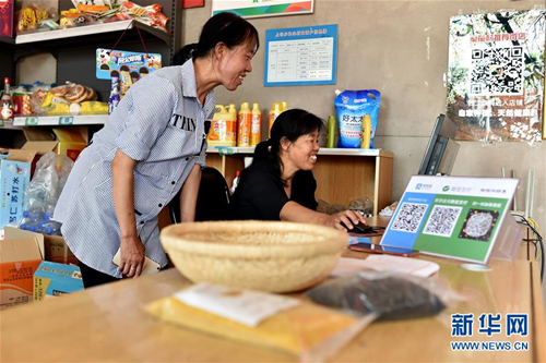 E-commerce helps Shanxi village sell farm produce