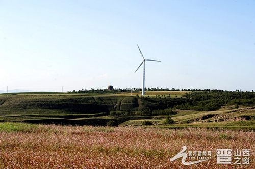 Wind farm helps improve air quality in Youyu county