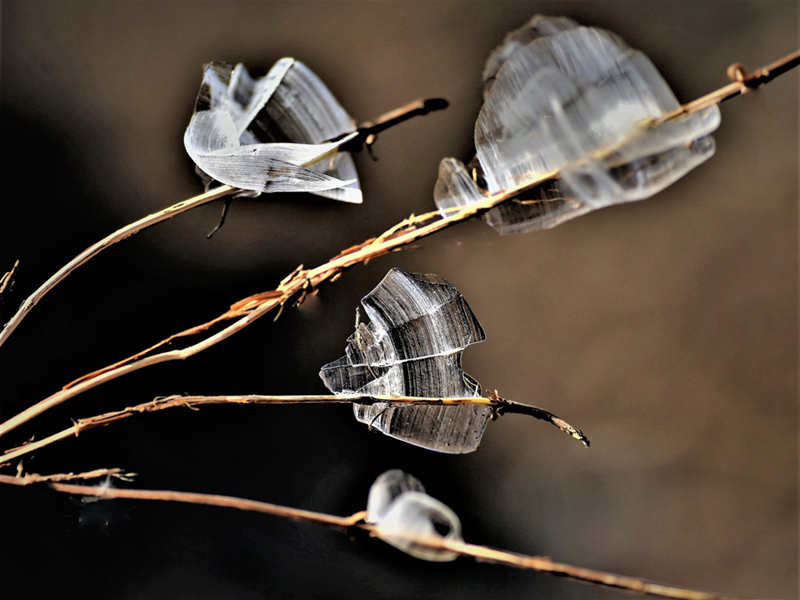 Ice shaped like butterflies appears in Shanxi