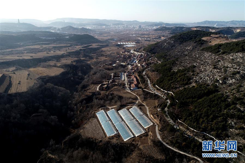 Flowers grow villagers' wealth in rural Shanxi