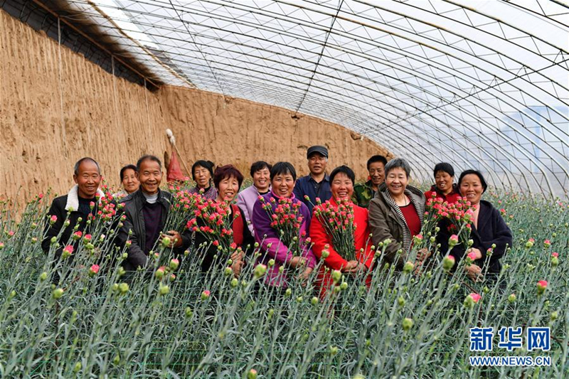 Flowers grow villagers' wealth in rural Shanxi