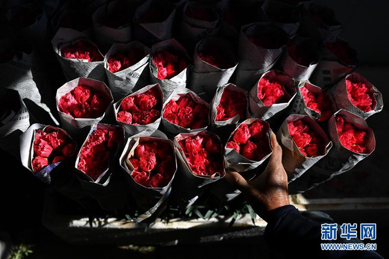 Flowers grow villagers' wealth in rural Shanxi