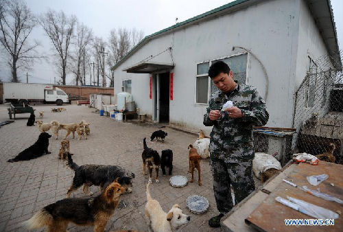 Stray dog shelter searches for social support in China's Taiyuan