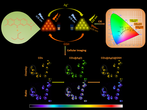 Shanxi University sees progress in carbon dot research