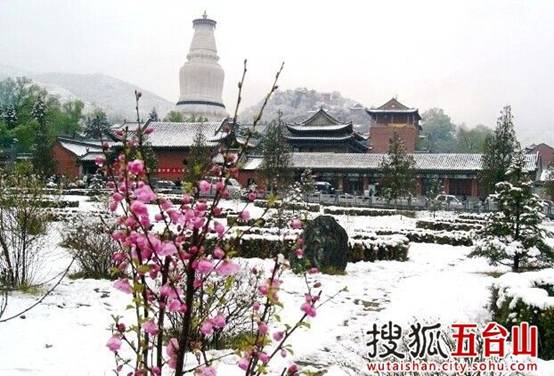 Fashionable winter visits to Mount Wutai for its Buddhism