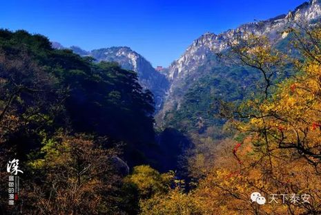 Local photographers capture the beauty of autumn in Tai'an