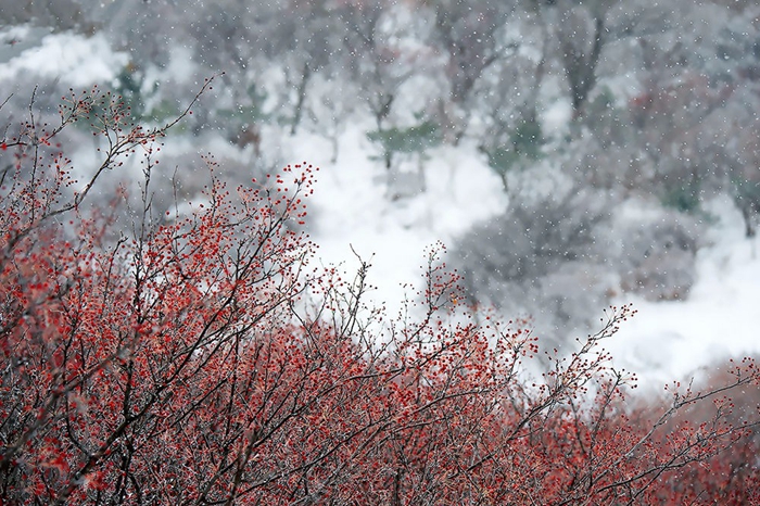 Explore Tai'an city's mystical scenery