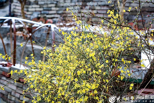 Photos capture snow on Mount Tai