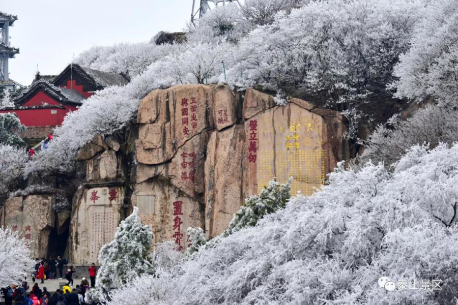 Frozen rime turns Mount Tai into fairyland