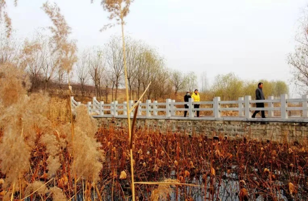 Xinfu Mountain offers picturesque winter scenery