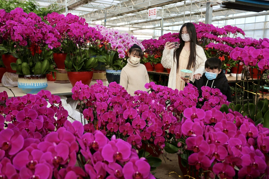 Tai'an flower markets popular before holiday